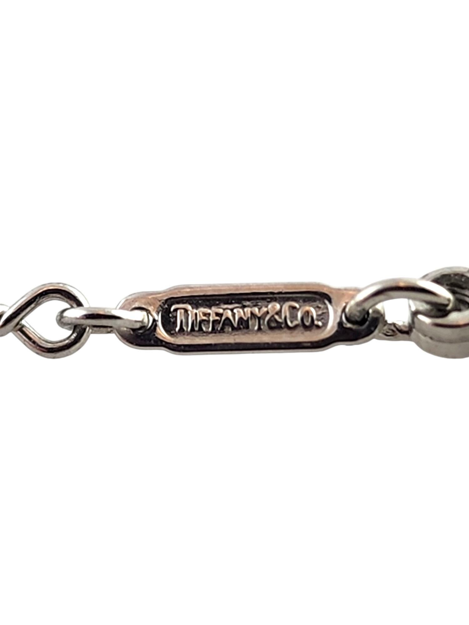Brilliant Cut Tiffany & Co Platinum Dog Bone Chain Diamond by the Yard Necklace #19188