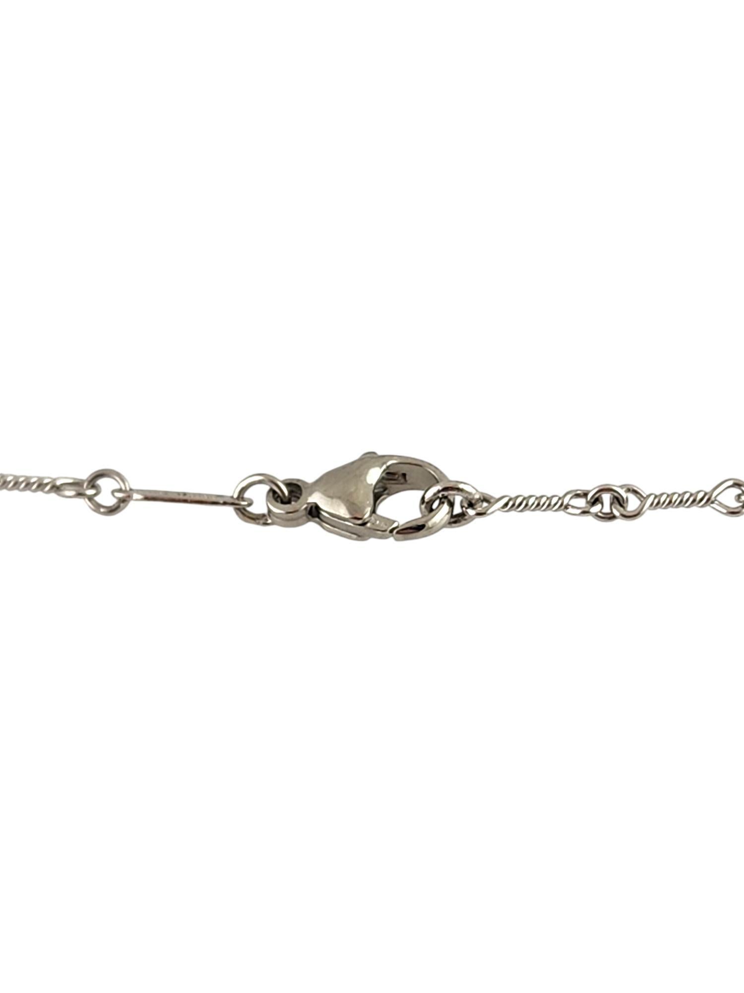 Women's Tiffany & Co Platinum Dog Bone Chain Diamond by the Yard Necklace #19188