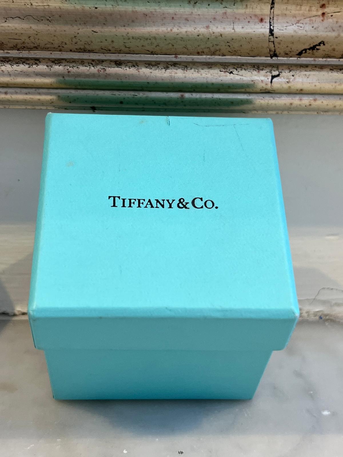Tiffany & Co. Platinum Forever Wedding Band 14.82g For Sale 4