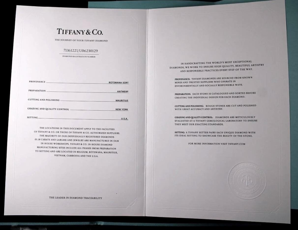 TIFFANY & Co. Platinum Novo Cushion Cut .22ct Diamond Engagement Ring 5.75 For Sale 5