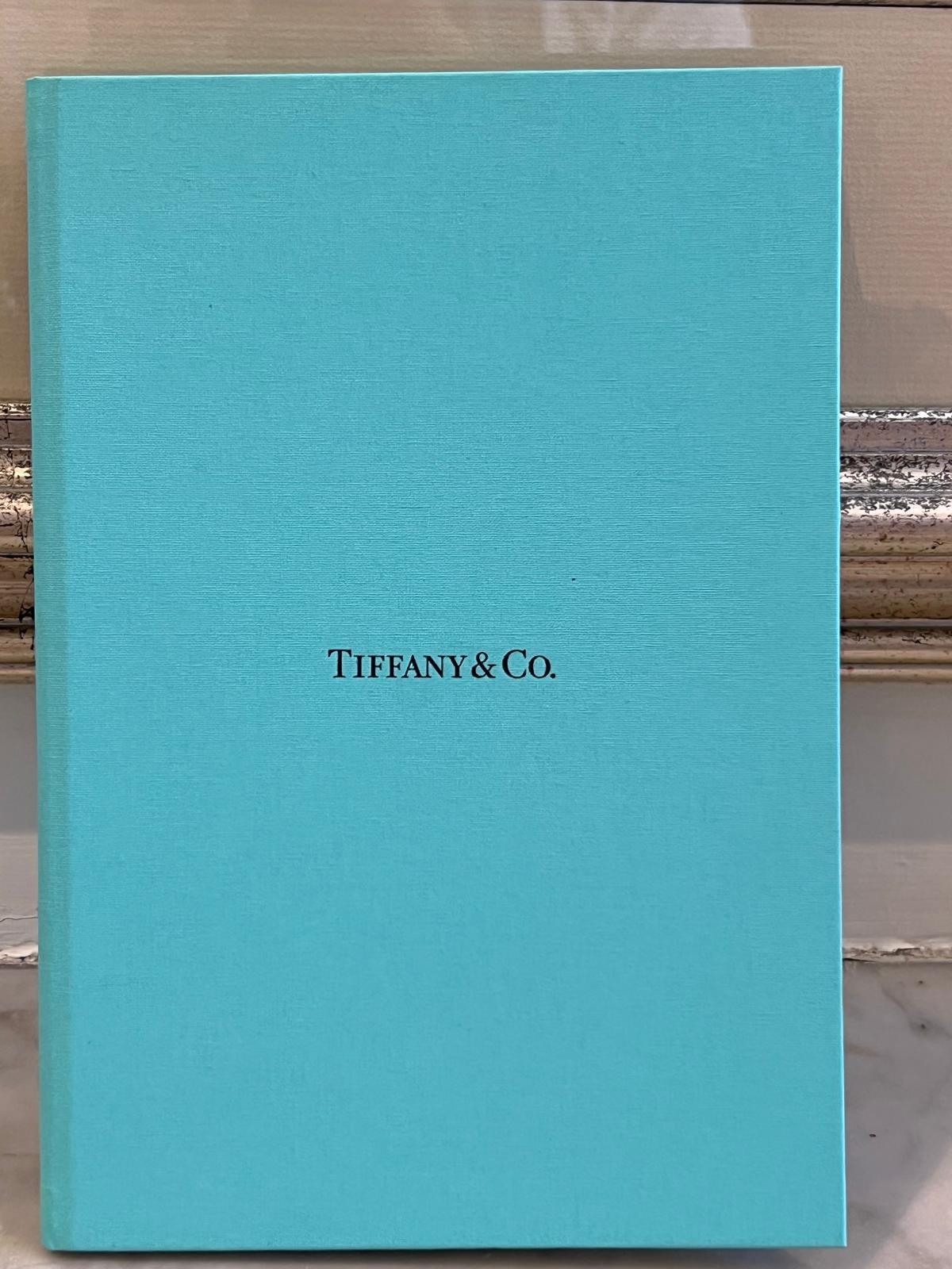 Tiffany & Co. Platin Novo Verlobungsring aus Platin mit Diamant im Prinzessinnenschliff 0,23 Karat 3g im Angebot 8