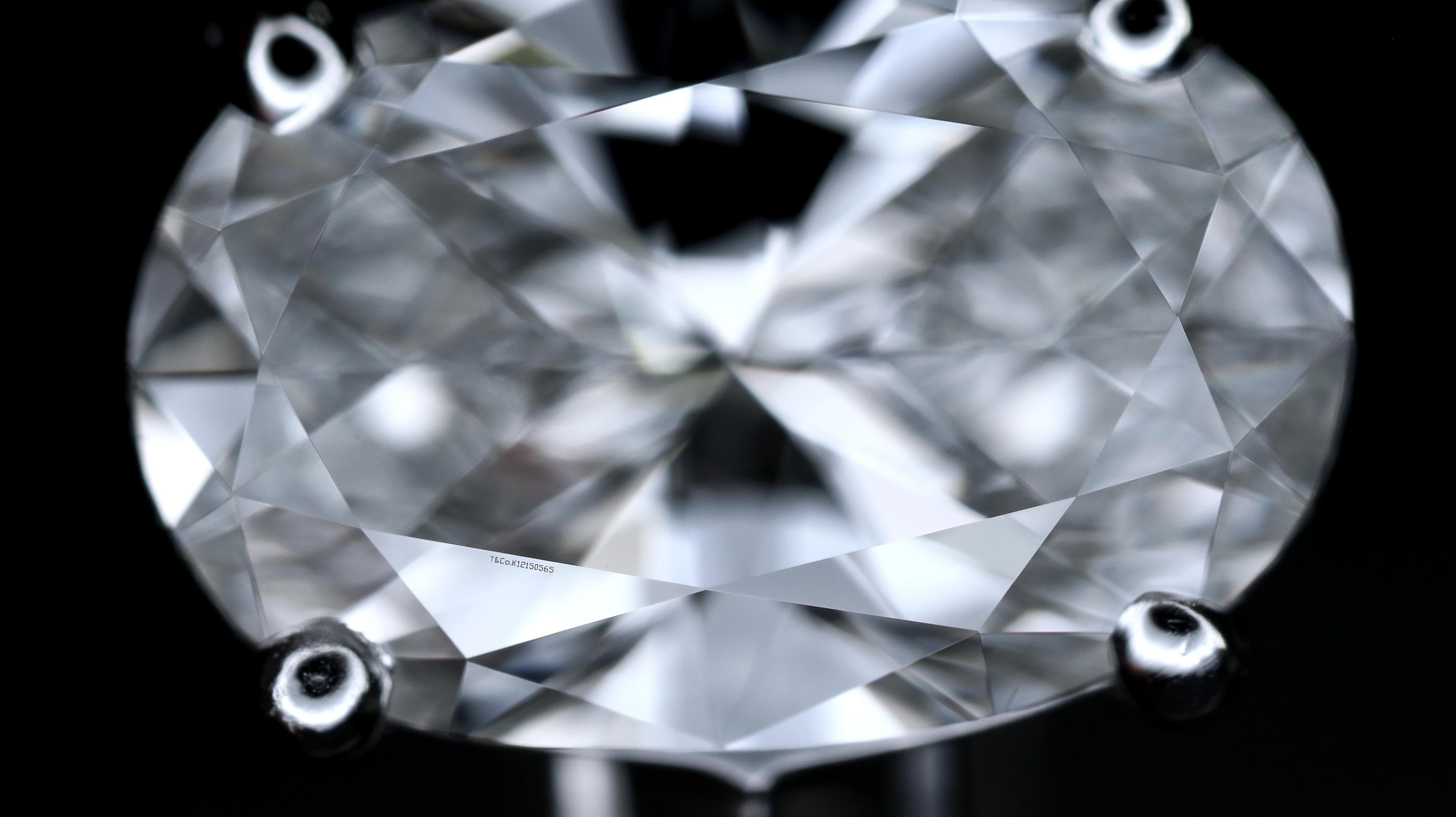 Tiffany & Co. Platinum Oval Diamond Engagement Ring 0.69 Ct E VS1 Excellent Cut 4