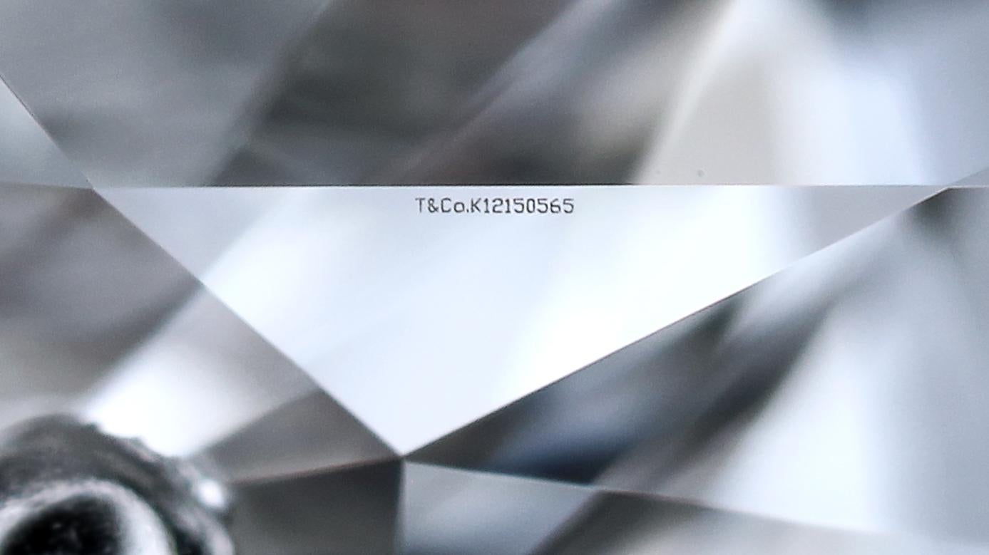 Tiffany & Co. Platinum Oval Diamond Engagement Ring 0.69 Ct E VS1 Excellent Cut 5