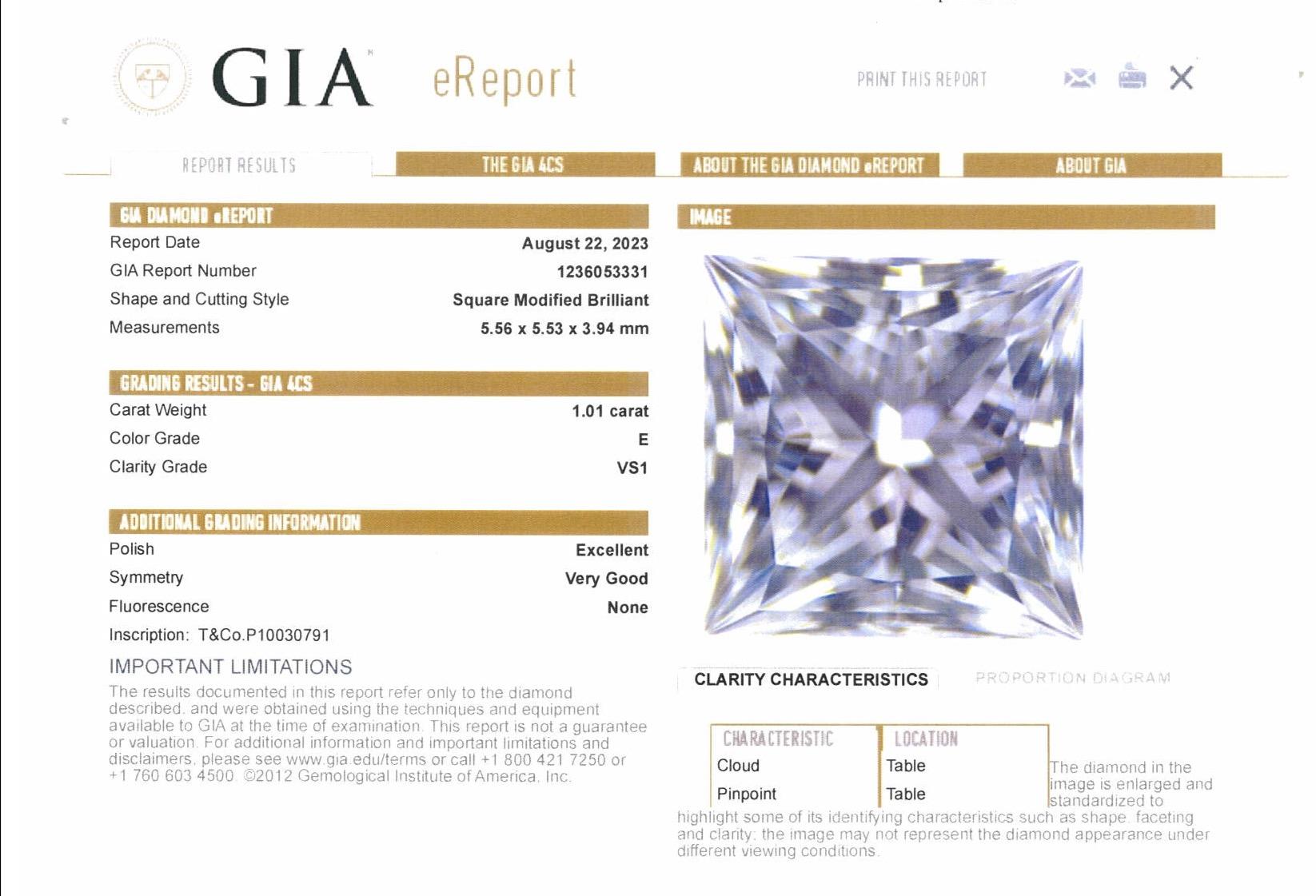 Tiffany & Co. Platinum Princess Cut Diamond Engagement Ring 1.01ct  EVS1 For Sale 6