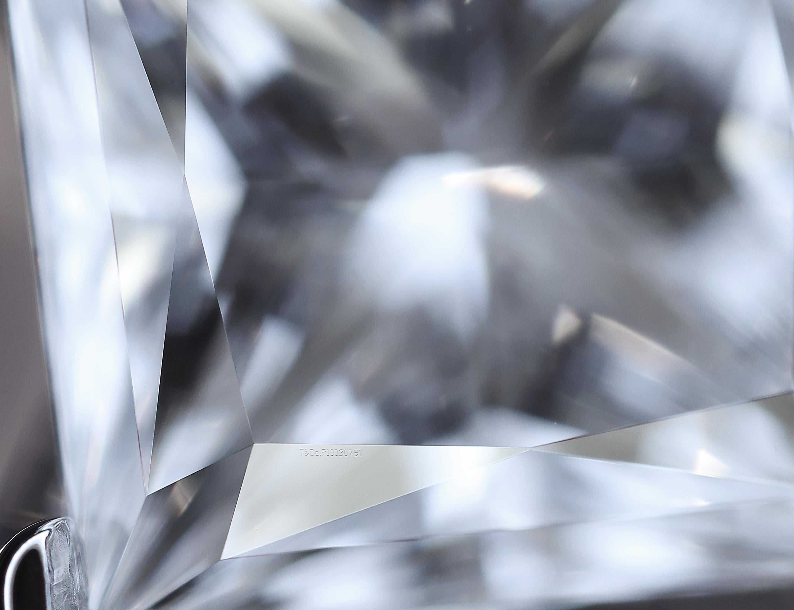 Tiffany & Co. Bague de fiançailles en platine avec diamant taille princesse 1.01ct  EVS1 en vente 3