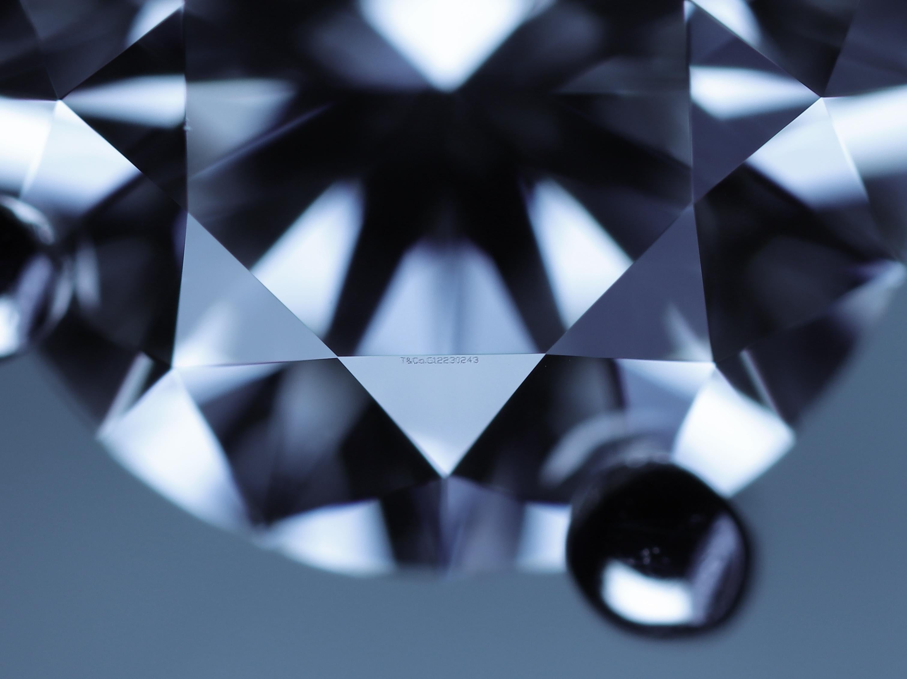 Tiffany & Co. Platin Runde 0,95 Karat. TW VVS1 Diamant Solitär-Ohrstecker im Angebot 6