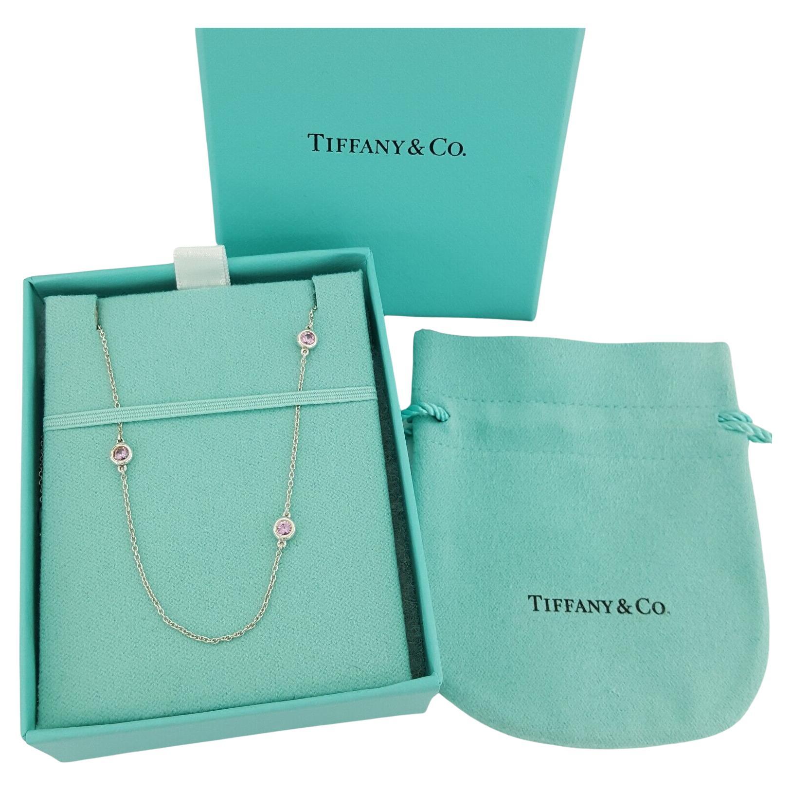 Modern Tiffany & Co. Platinum Round Cut Diamond Dragonfly Necklace 