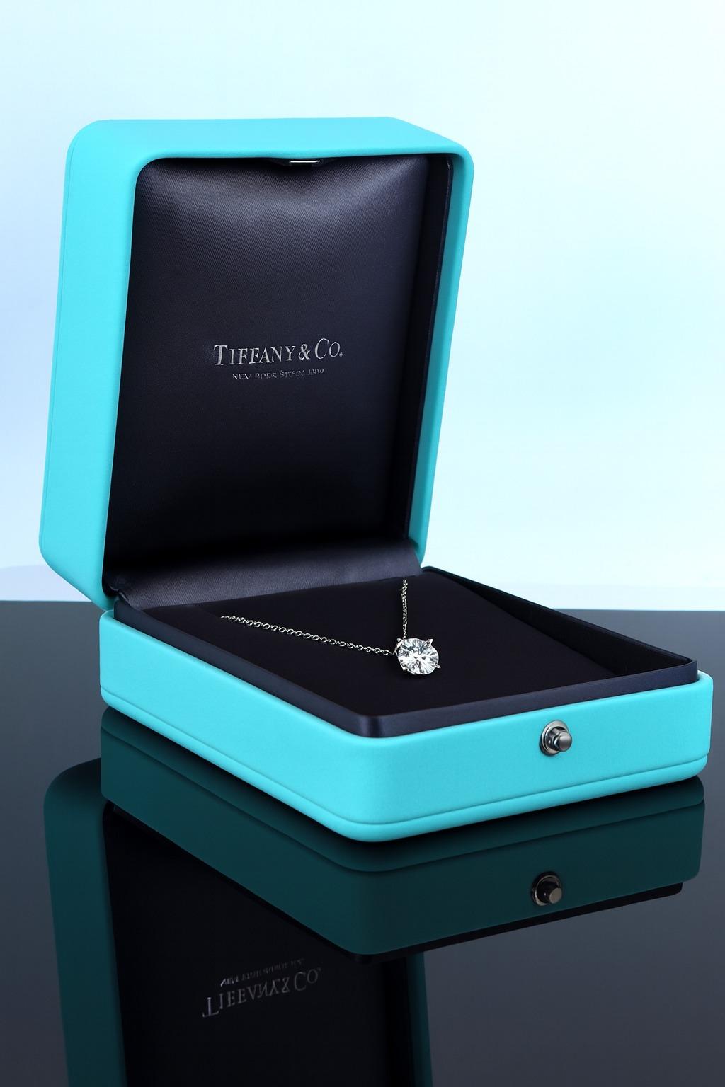Tiffany & Co. Platinum Round Diamond Solitaire Pendant Necklace In Excellent Condition For Sale In Chicago, IL