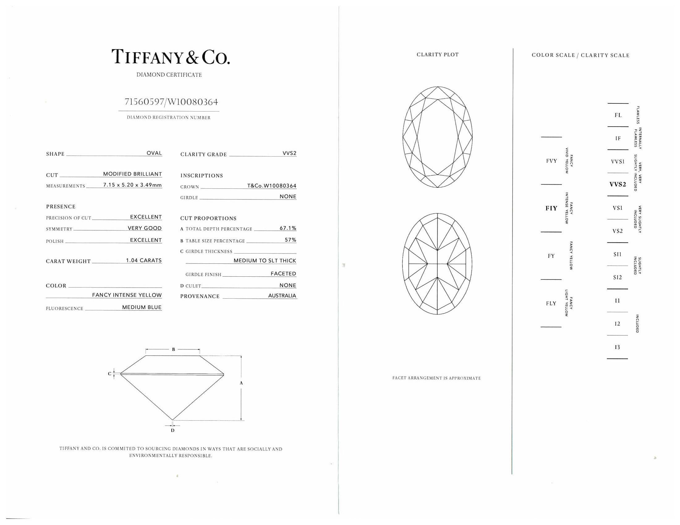 Tiffany&Co Plat Soleste Verlobungsring, intensiv gelber, ovaler Fancy-Diamant 1,46TW im Angebot 6