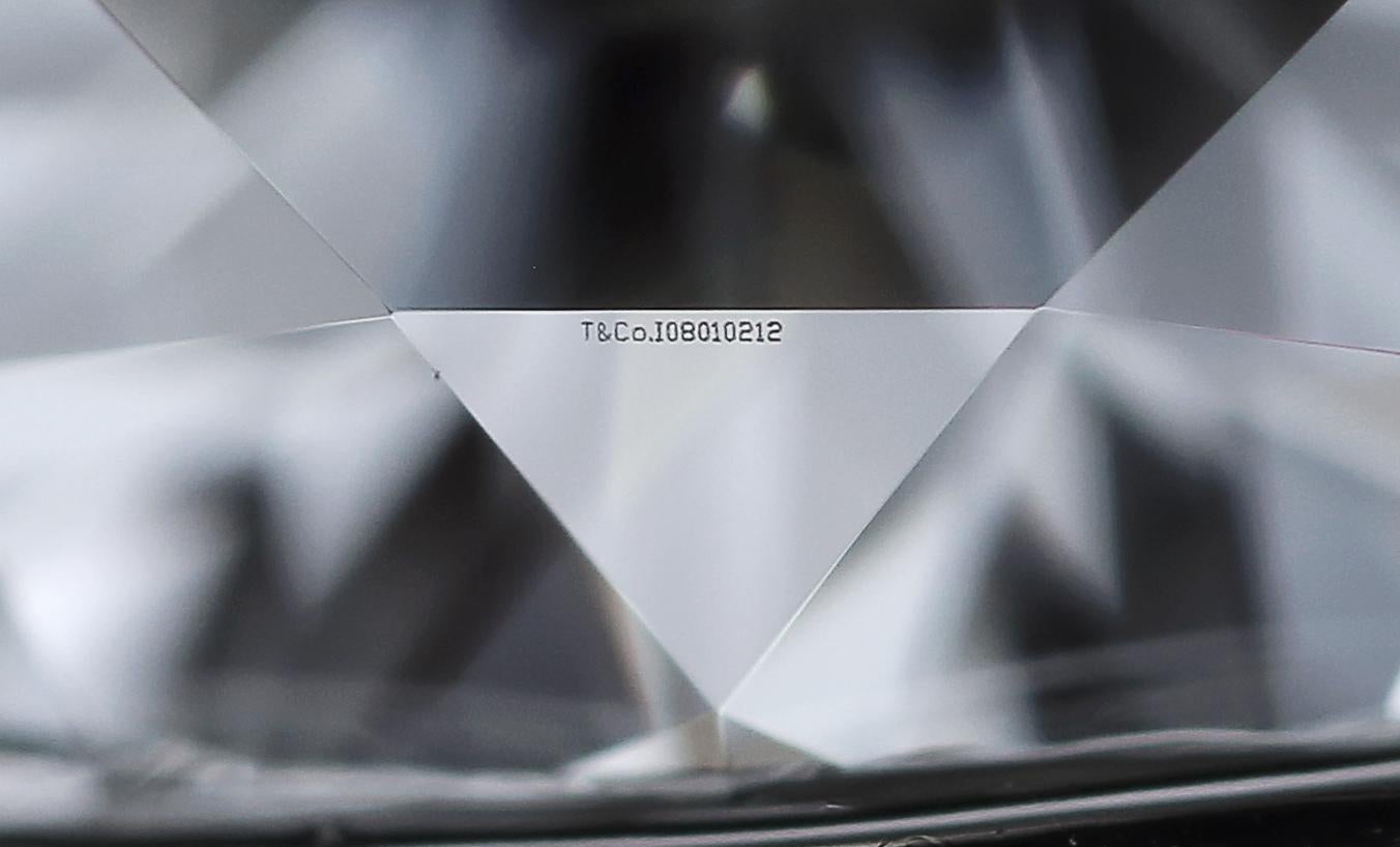 Tiffany & Co. Ribbon Platinum Diamond Engagement Ring 0.90 Ct TW Round Cut 2