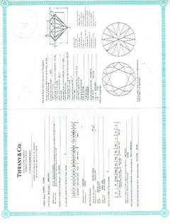 TIFFANY & CO Round Diamond 0.74tcw E IF Engagement Ring Channel-set Diamond Plat