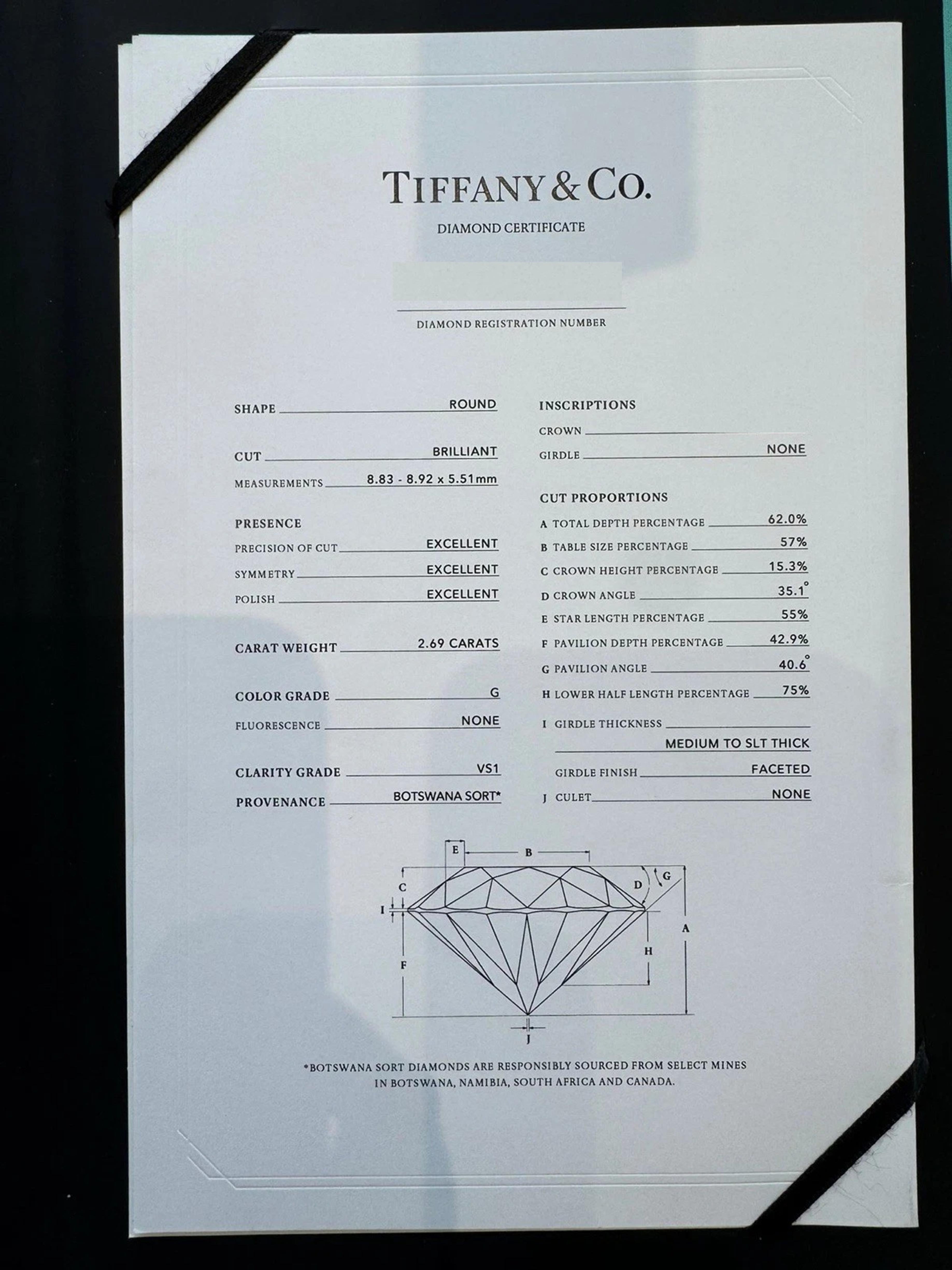 Tiffany & Co. Collier pendentif solitaire en diamant rond - 2.69 Ctw en vente 2