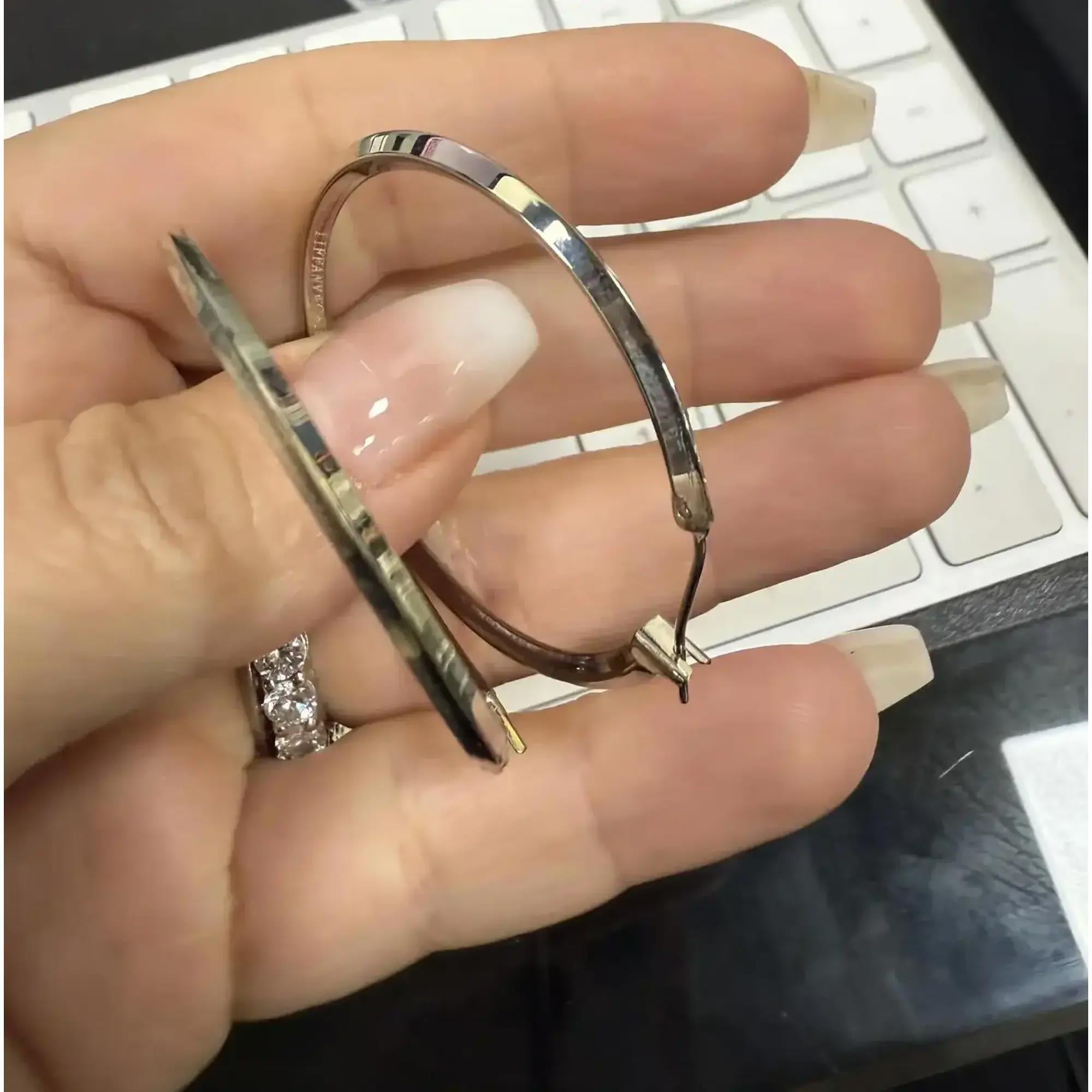 Moderno Tiffany & Co. Orecchini a cerchio tondi in argento 925 in vendita