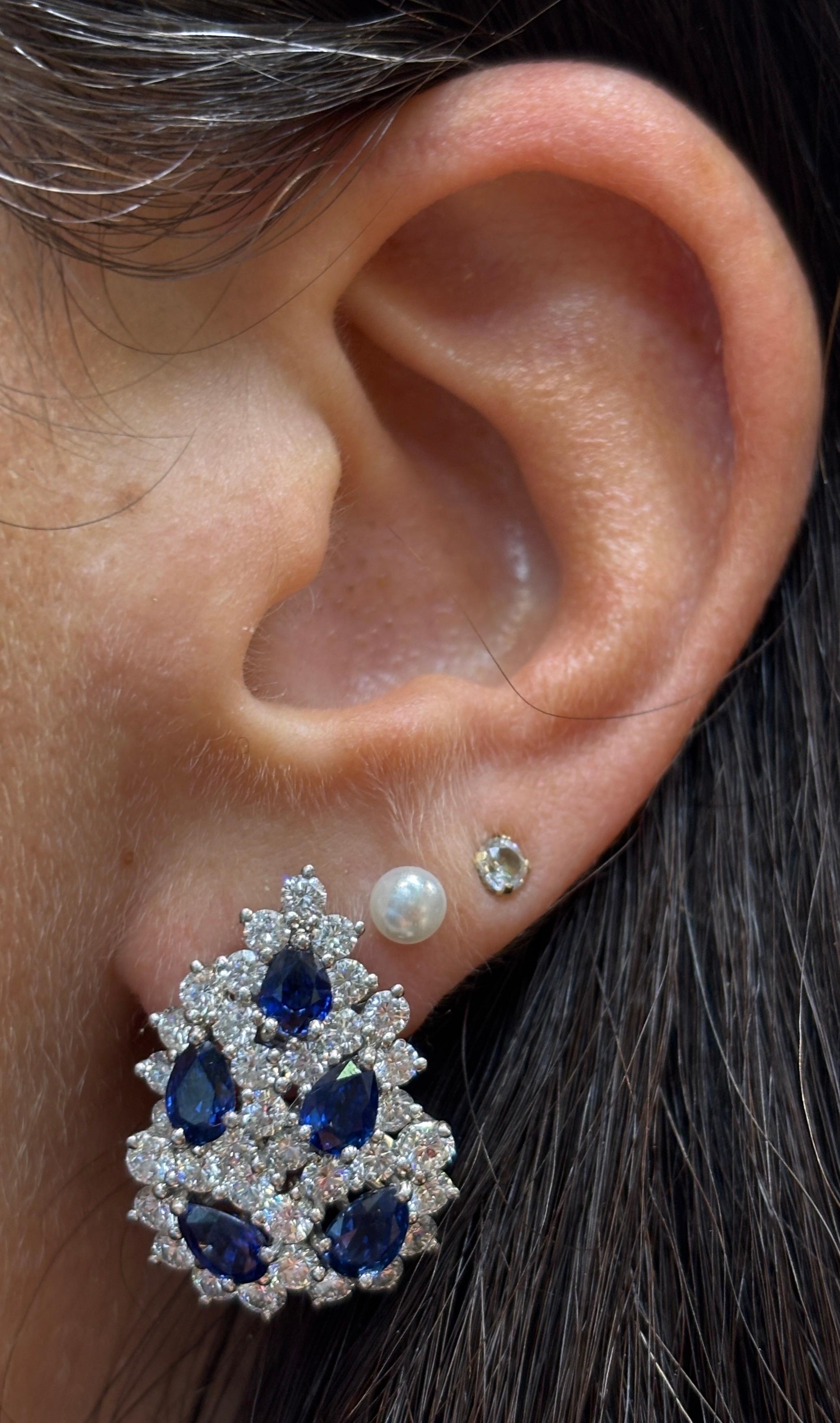 Orecchini con zaffiri e diamanti Tiffany & Co.

Un paio di orecchini con zaffiri a forma di pera e diamanti taglio rotondo in una montatura a forma di foglia.

Peso dello zaffiro: 3,50 carati 
Peso del diamante: 3,50 carati 

Misure: 0,75