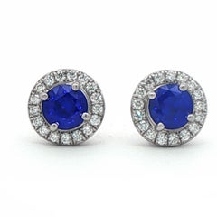 Tiffany & Co Sapphire and Diamond Soleste Earrings