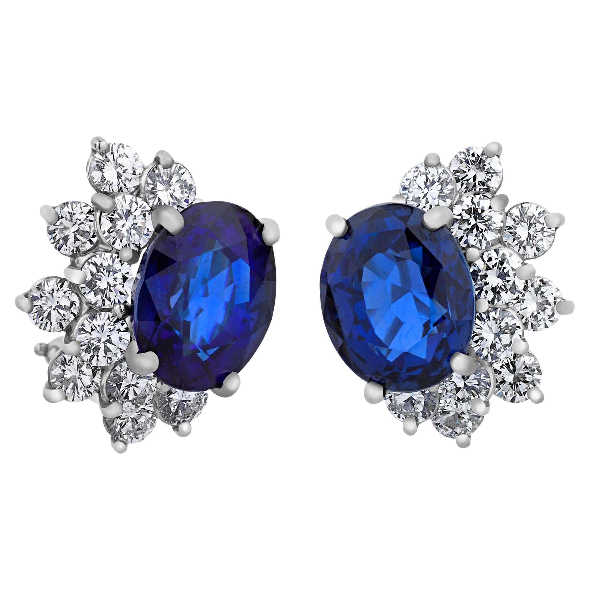 Tiffany & Co. Sapphire Earrings, 8.00 Carats