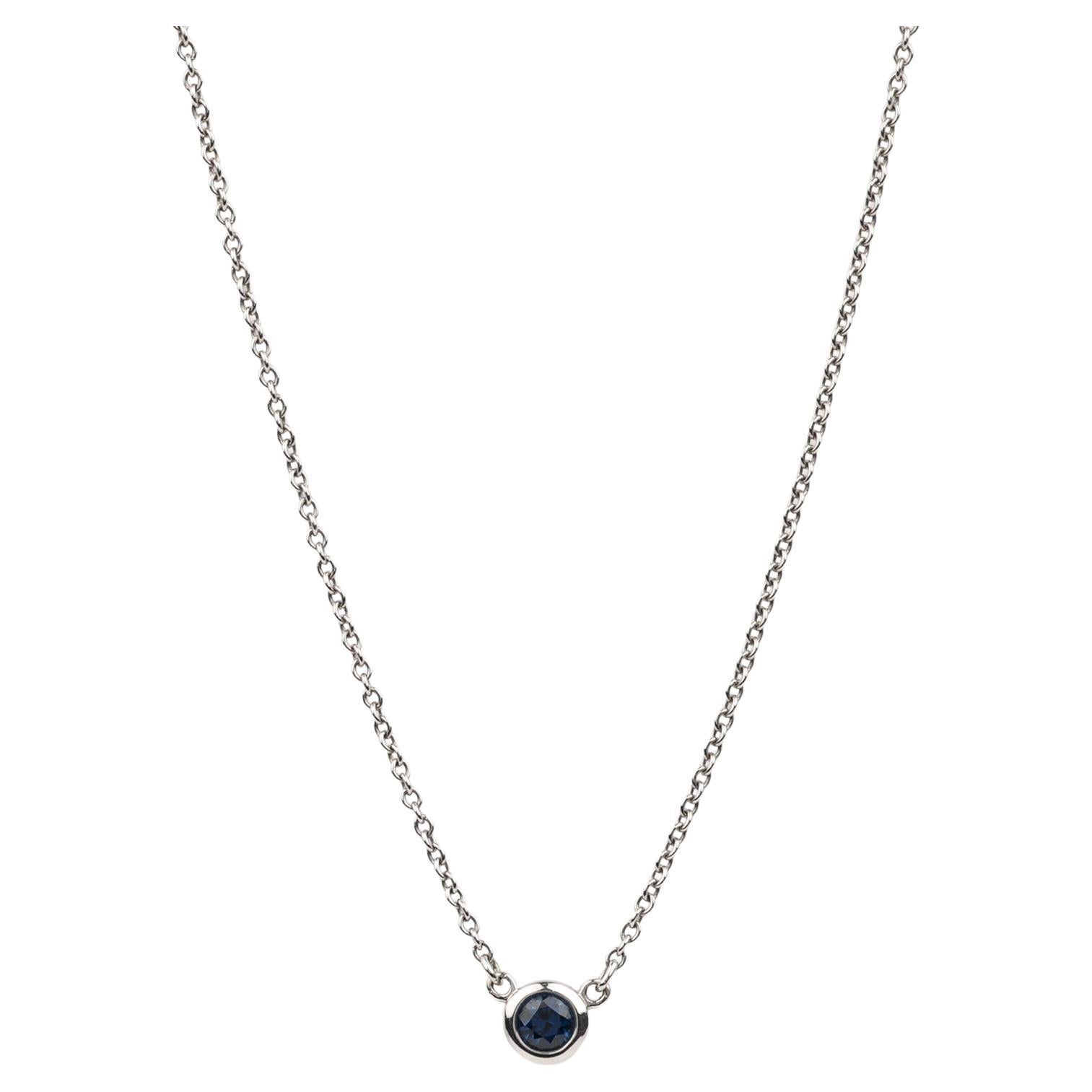 Tiffany 
Co. Pendentif saphir platine Colour by the Yard en vente