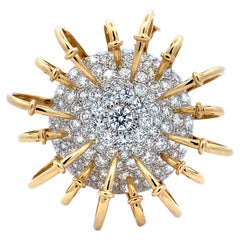 Tiffany & Co. Schlumberger Apollo Brooch Yellow Gold and Platinum with Diamonds