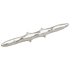Tiffany & Co. Penna a sfera Schlumberger Cactus Silver in oro 18k