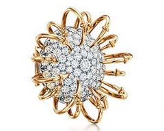 Tiffany & Co. Schlumberger Diamond 'Apollo' Brooch