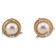 Tiffany & Co. Schlumberger Mabe Perle Diamant 18k Gold Platin Seil-Ohrringe