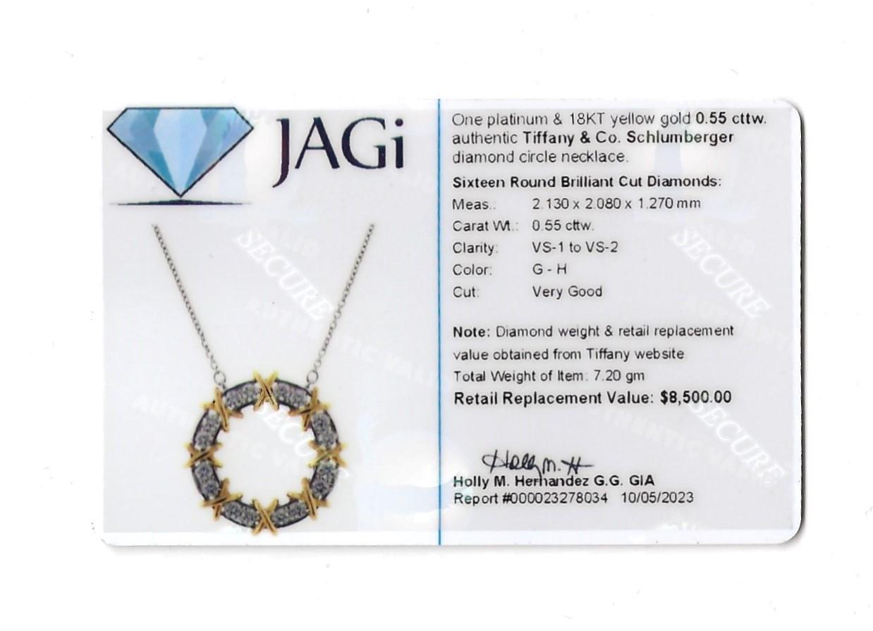 Tiffany & Co Schlumberger Sixteen Stone Diamond Circle Two-Tone Pendant Necklace 2