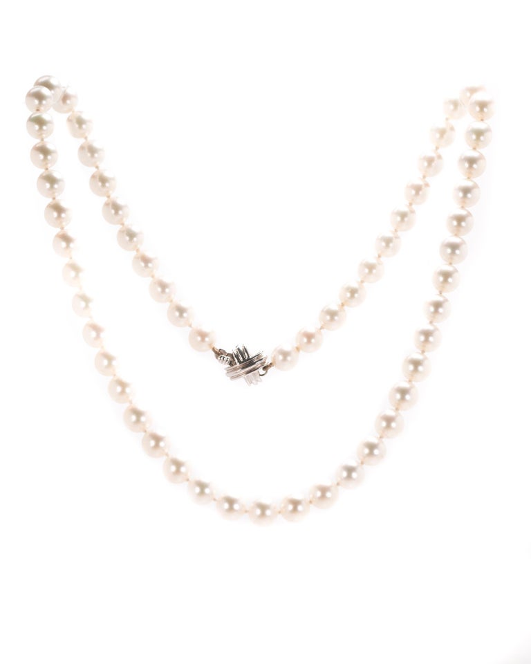 Tiffany and Co. Signature Akoya Pearl Necklace, 18 Karat White Gold For ...