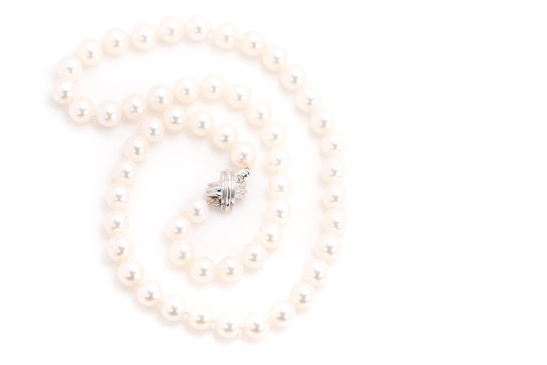 Tiffany and Co. Signature Akoya Pearl Necklace, 18 Karat White Gold For ...