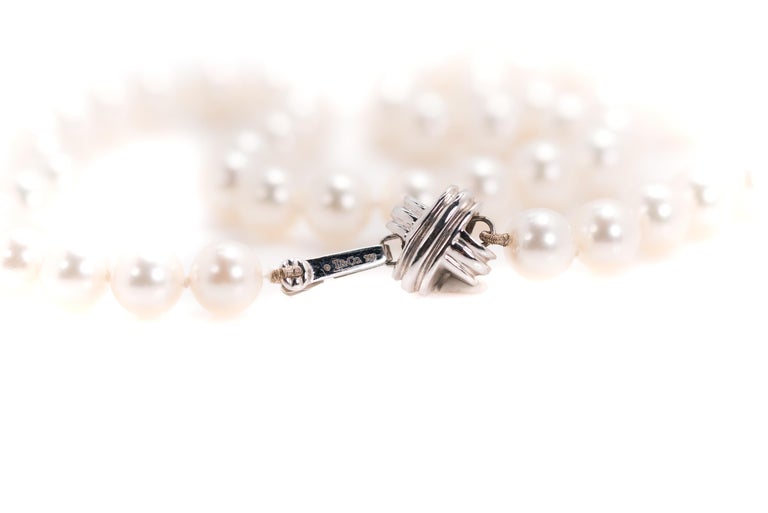 Tiffany and Co. Signature Akoya Pearl Necklace, 18 Karat White Gold For ...