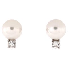 Tiffany & Co. Signature Stud Earrings 18k White Gold and Akoya Cultured Pearls