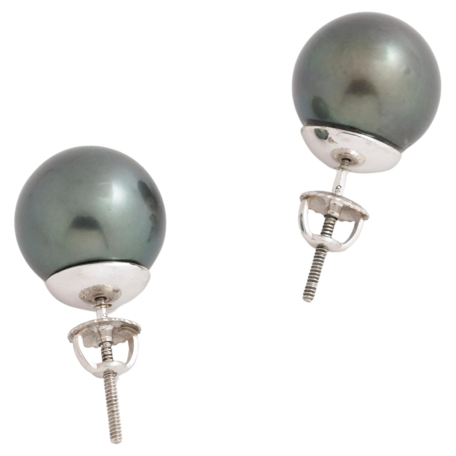 Tiffany & Co. Signed 18 Karat Tahitian South Sea Grey Pearl Earrings 