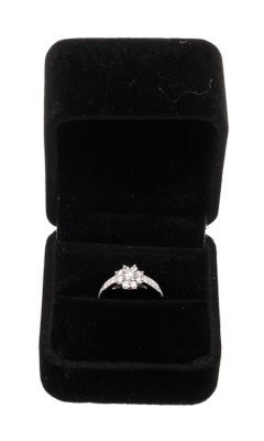 Tiffany & Co. Silver Flora Ring