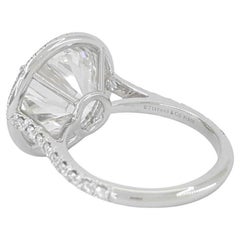 Tiffany & Co. Soleste 8 Carat Round Brilliant Diamond Halo Engagement Ring