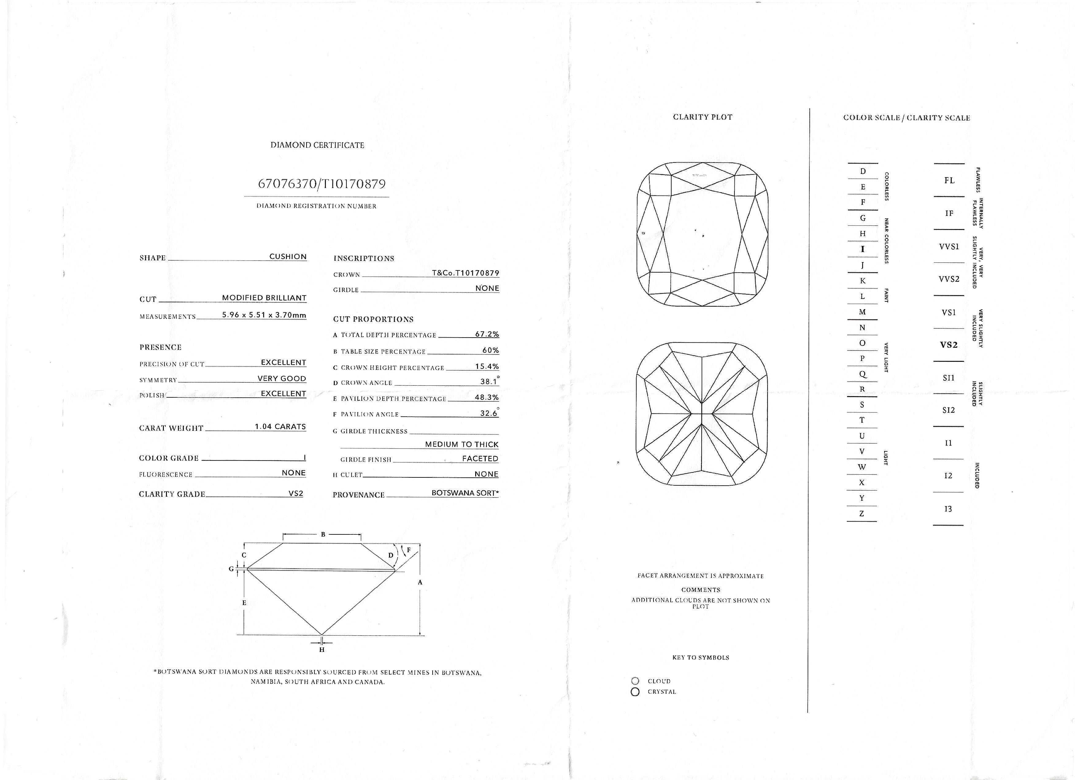 Tiffany & Co. Anello di fidanzamento in platino con doppio alone di diamanti taglio cuscino Soleste in vendita 6