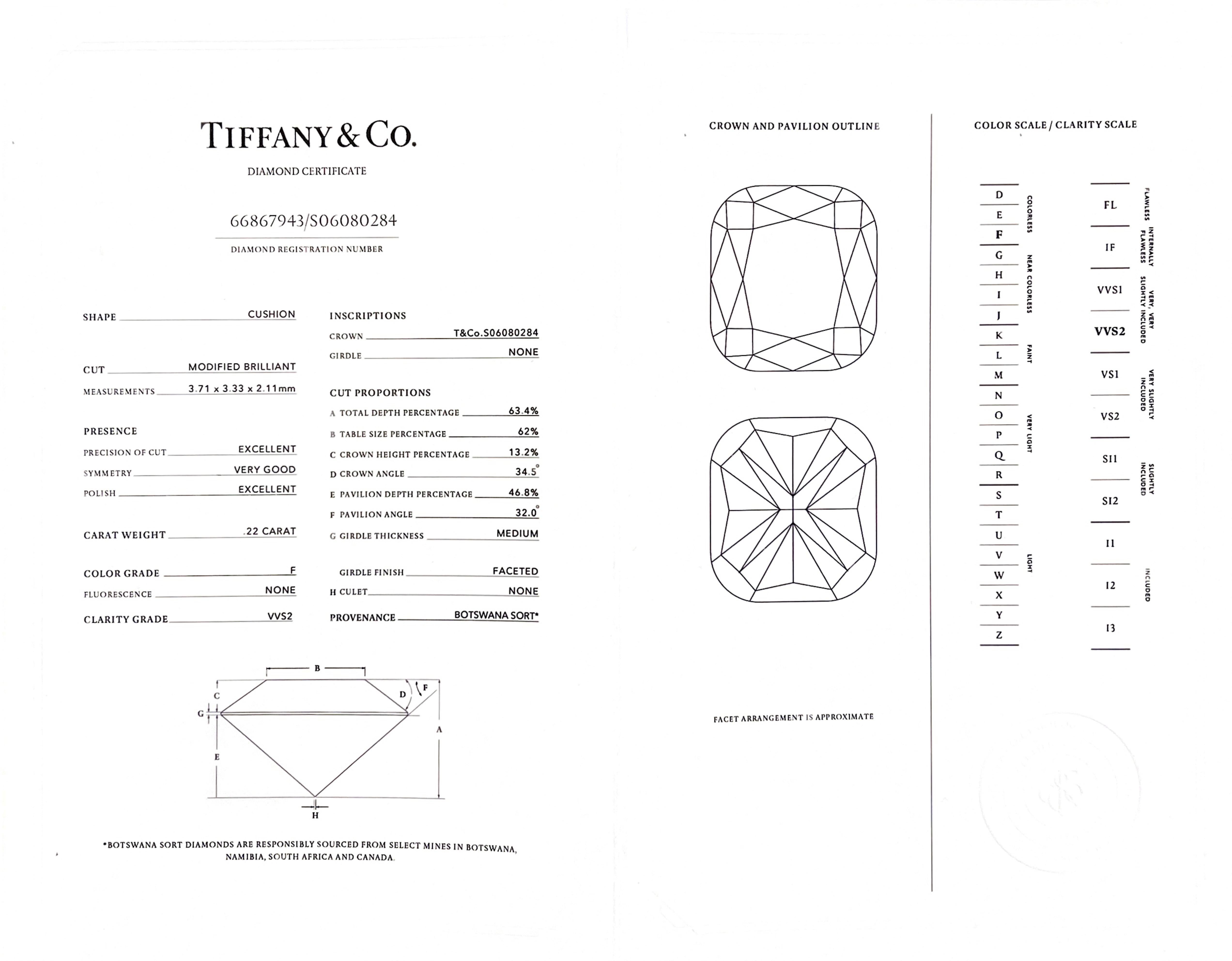 Tiffany & Co. Soleste Cushion Double Row Halo Diamond Engagement Ring 1