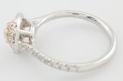 Tiffany & Co. Soleste Diamond Double Halo Engagement Ring