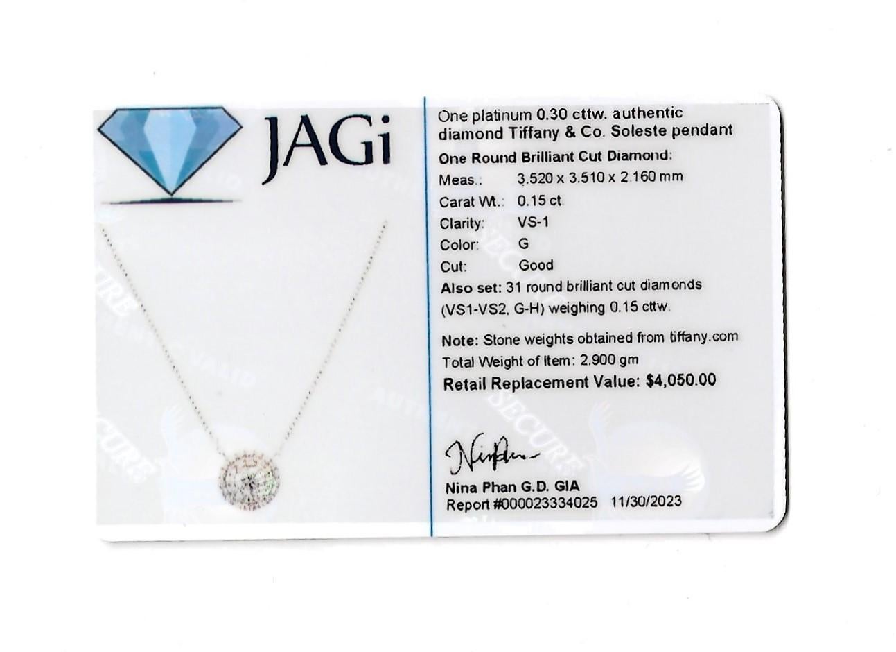 Tiffany & Co. Soleste Double Diamond Halo Pendant Necklace Set in Platinum For Sale 2