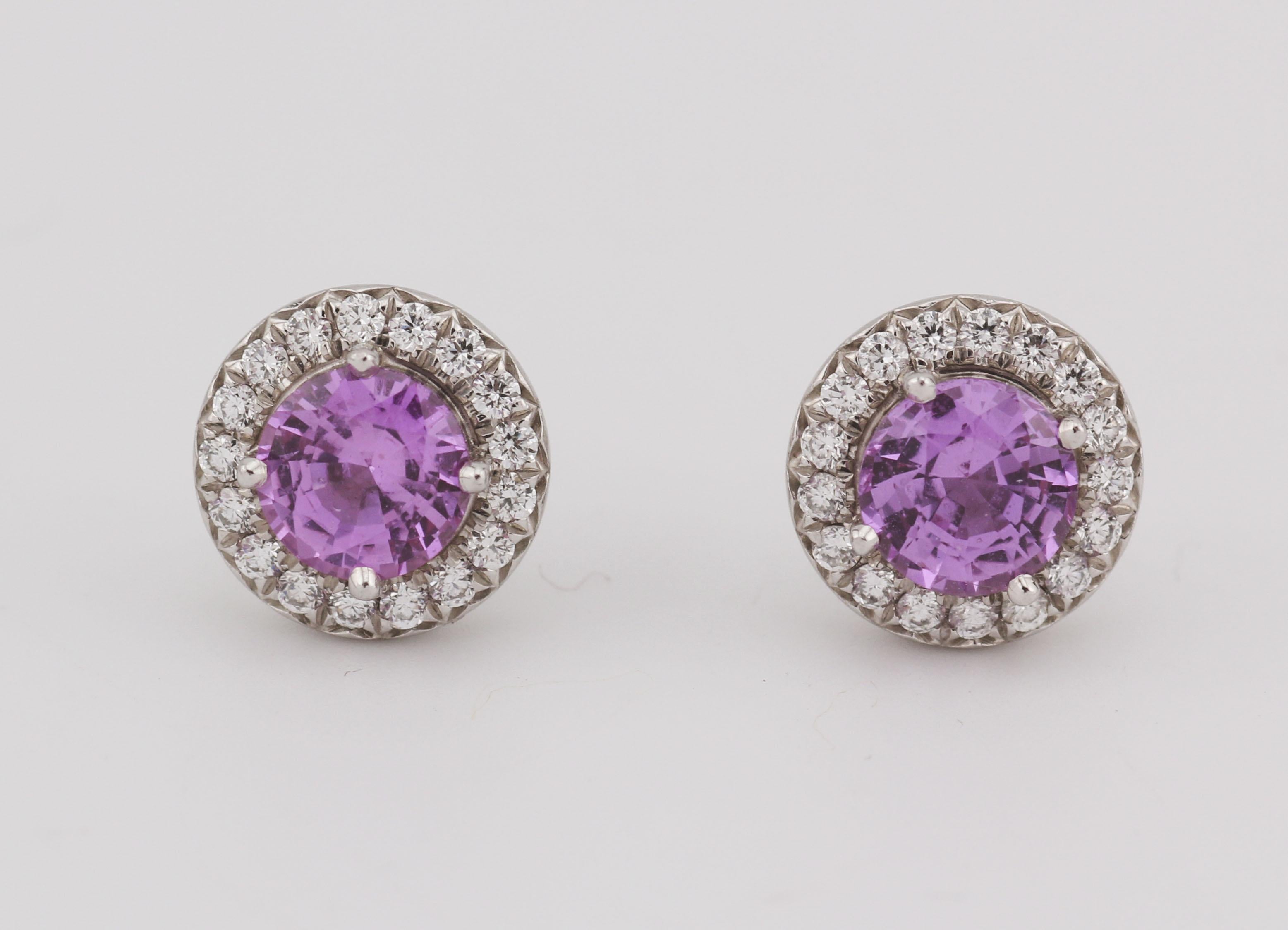 Round Cut Tiffany & Co. Soleste Pink Sapphire Diamond Platinum Stud Earrings For Sale