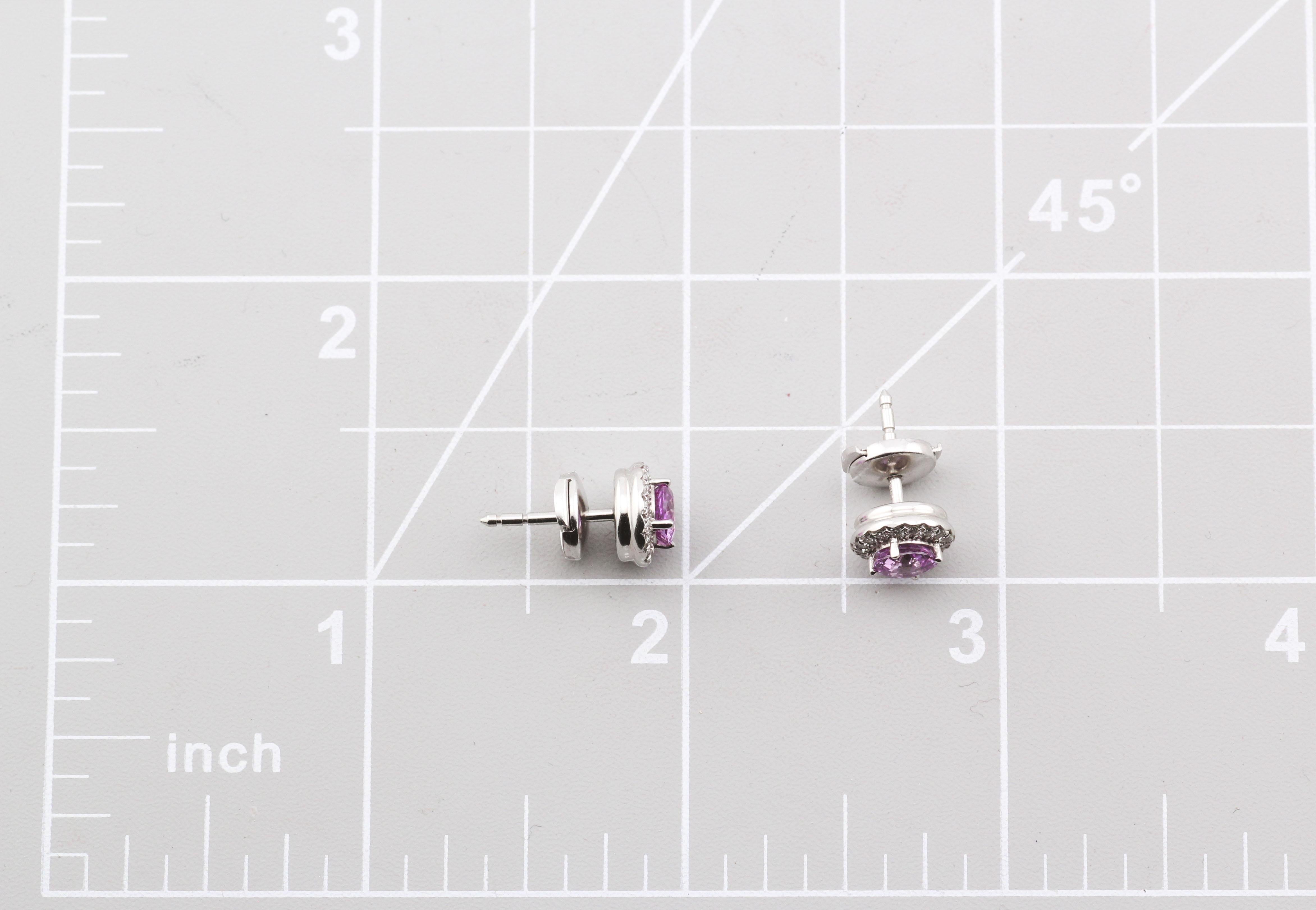 Tiffany & Co. Soleste Platin-Ohrstecker mit rosa Saphir und Diamant 2