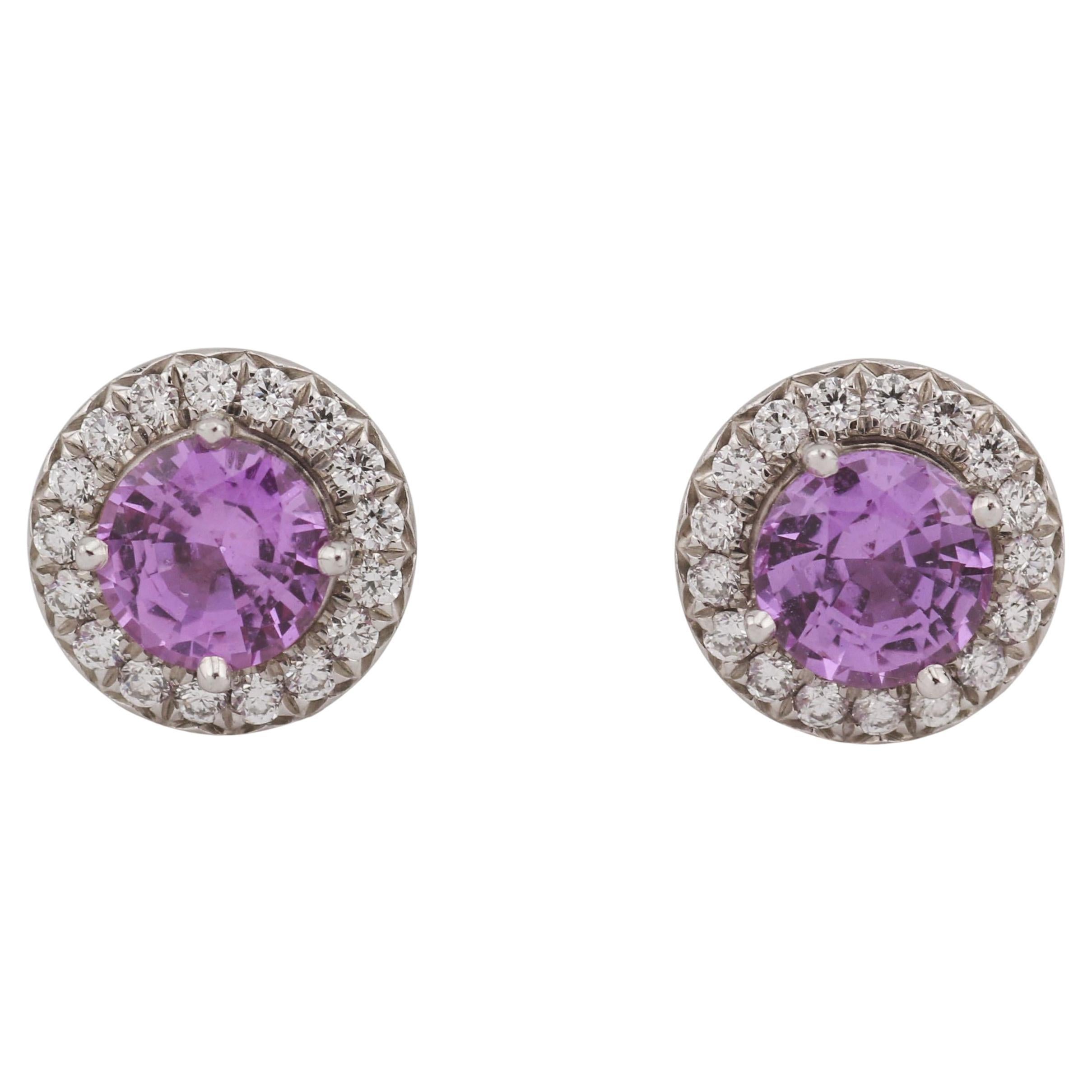 Tiffany & Co. Soleste Platin-Ohrstecker mit rosa Saphir und Diamant