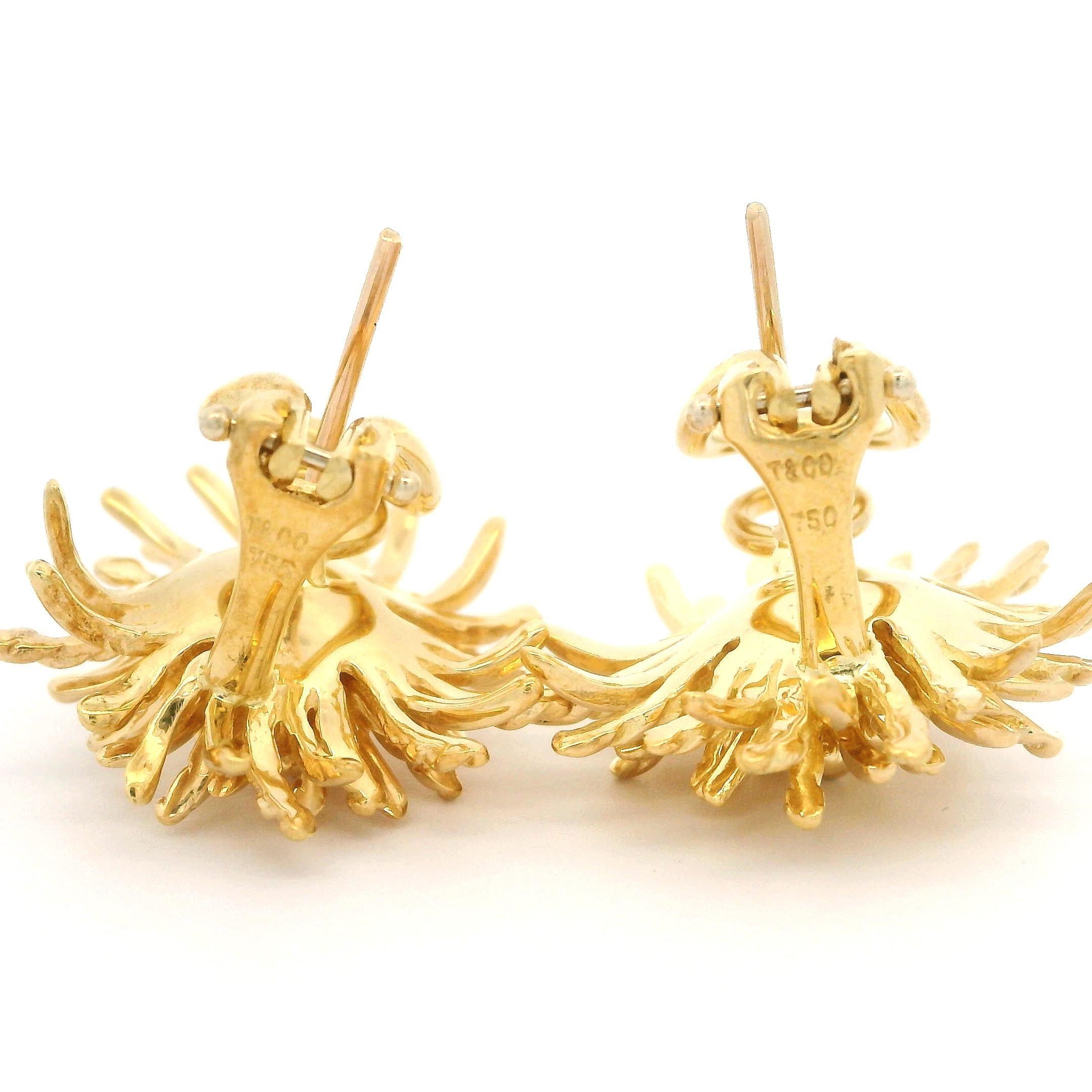 Tiffany & Co. Solid 18k Yellow Gold Spray Sea Anemone Omega Earrings 1