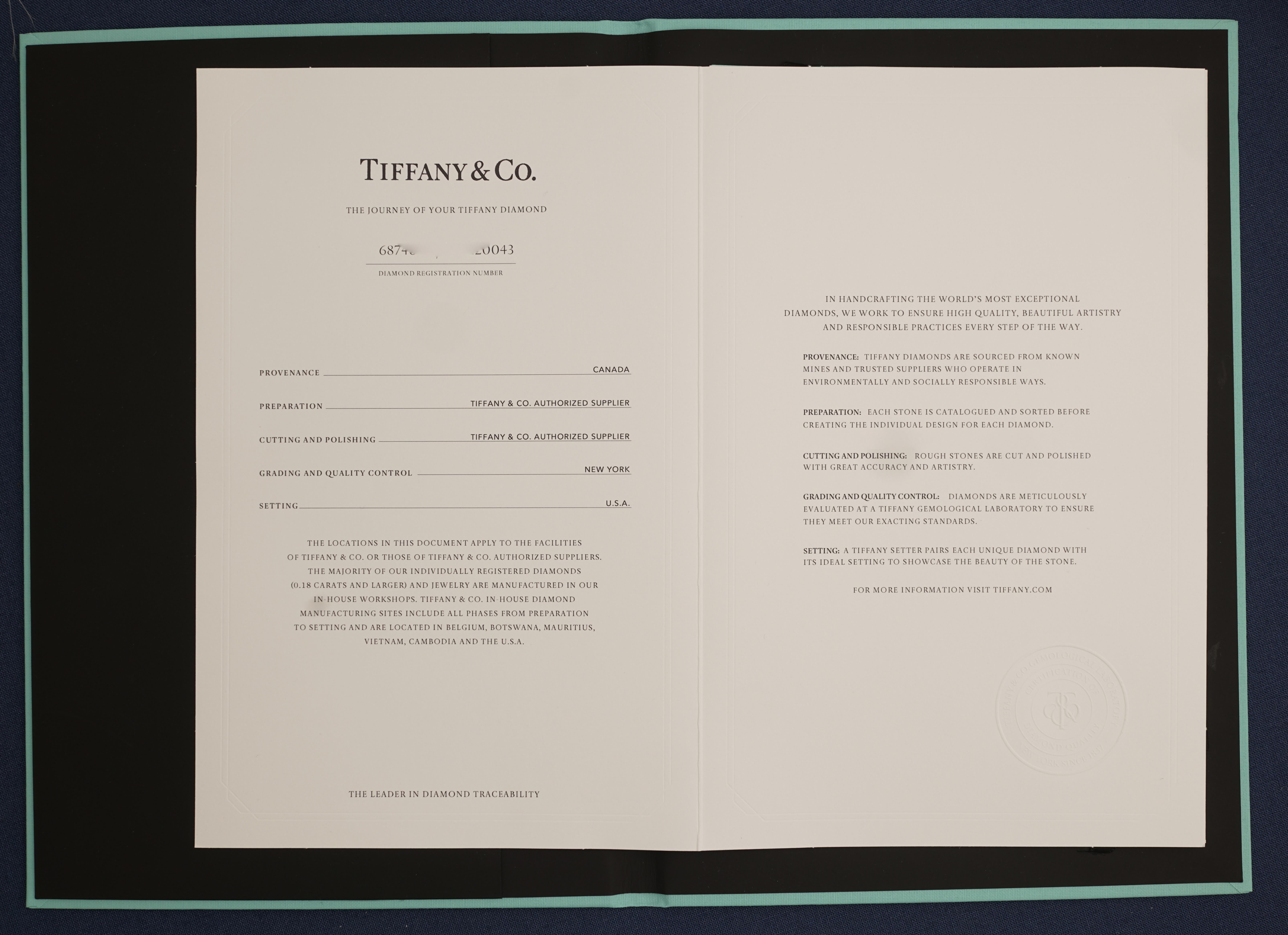 Tiffany & Co, Solitaire 18K Ping Gold 0.22 Carat G/VVS1 Diamond Necklace (Rundschliff) im Angebot