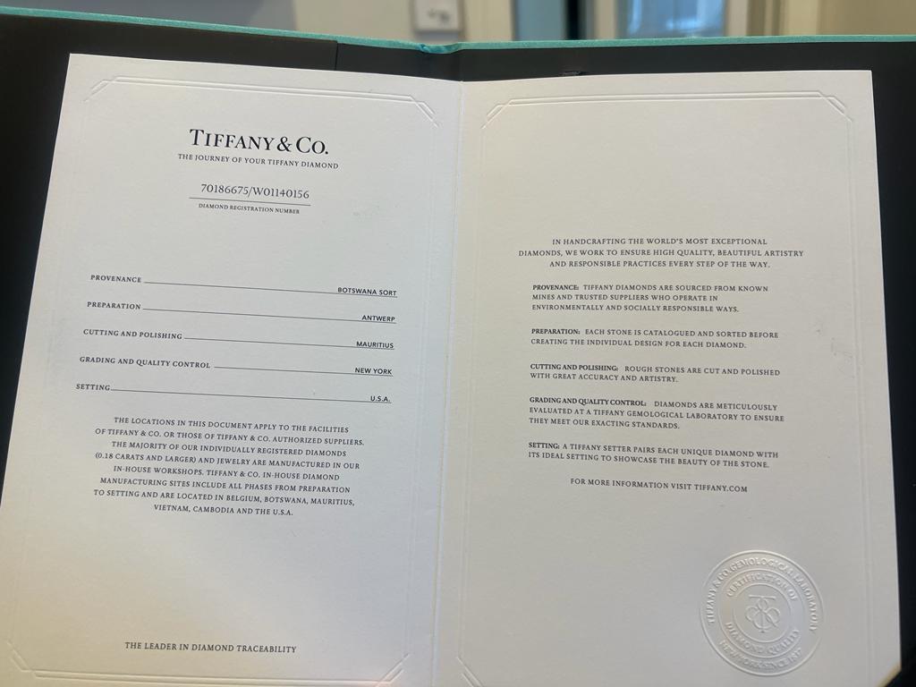 Tiffany & Co Solitaire Diamond Pendant 0.21ct 1