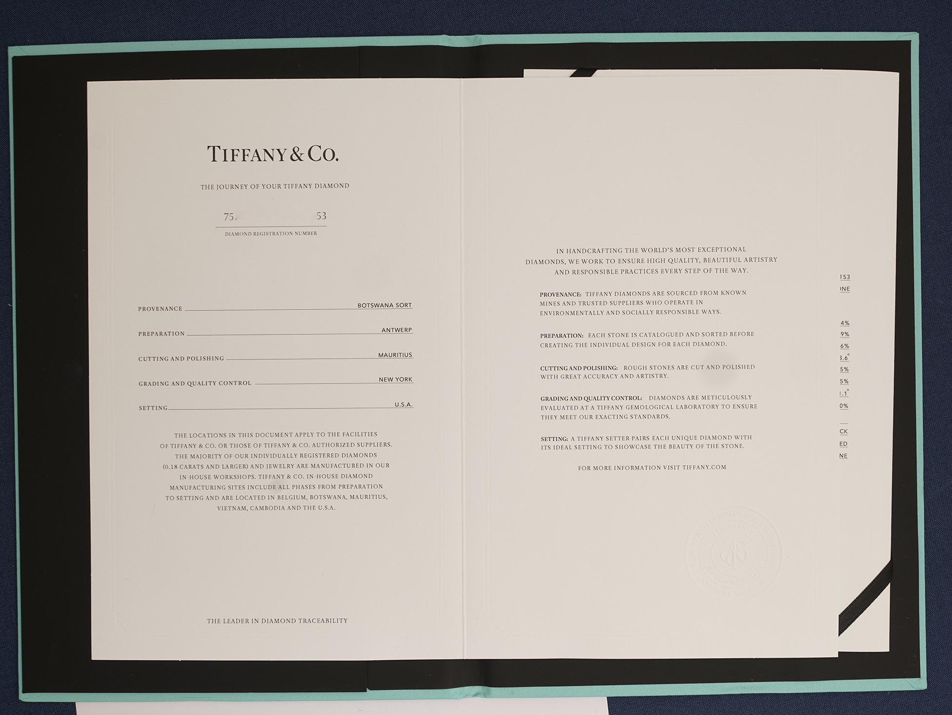 Donna Tiffany & Co, Solitaire Platinum 0.28 Carat J/VS1 Diamond Necklace in vendita