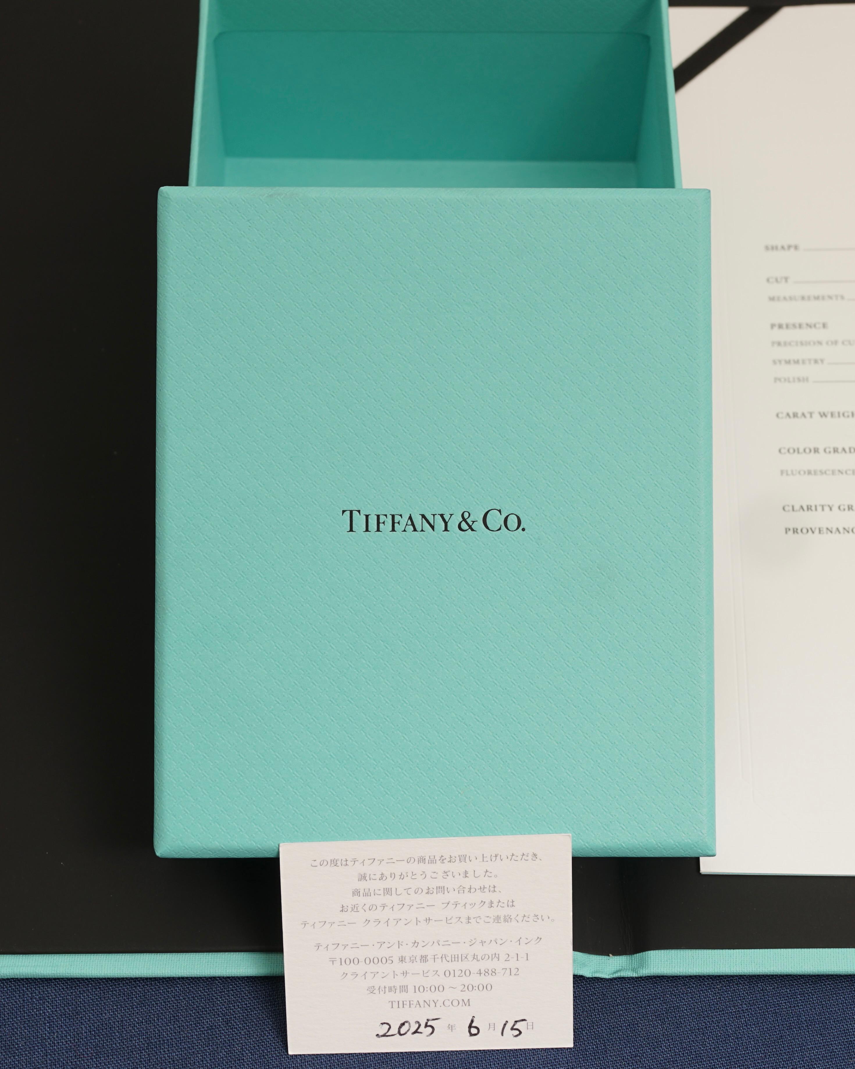 Tiffany & Co, Solitaire Platinum 0.28 Carat J/VS1 Diamond Necklace in vendita 3