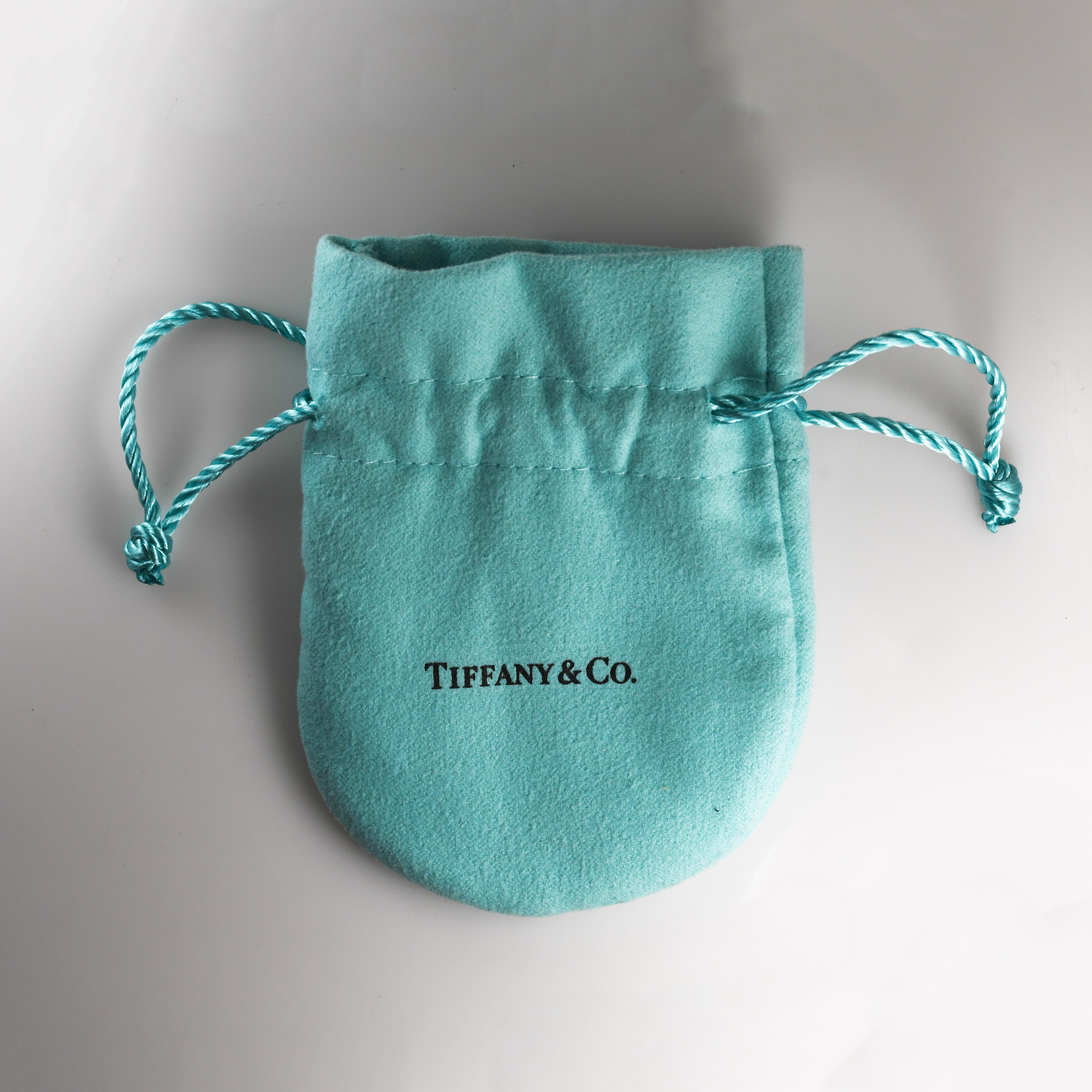 Tiffany & Co. Somerset Mesh Hoop Earrings 6.3g 2
