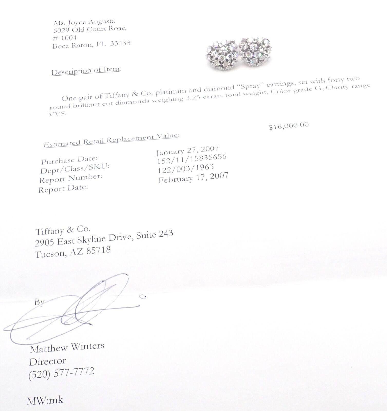 Tiffany & Co. Spray Diamond Platinum Necklace and Earrings Set In Excellent Condition For Sale In Holland, PA