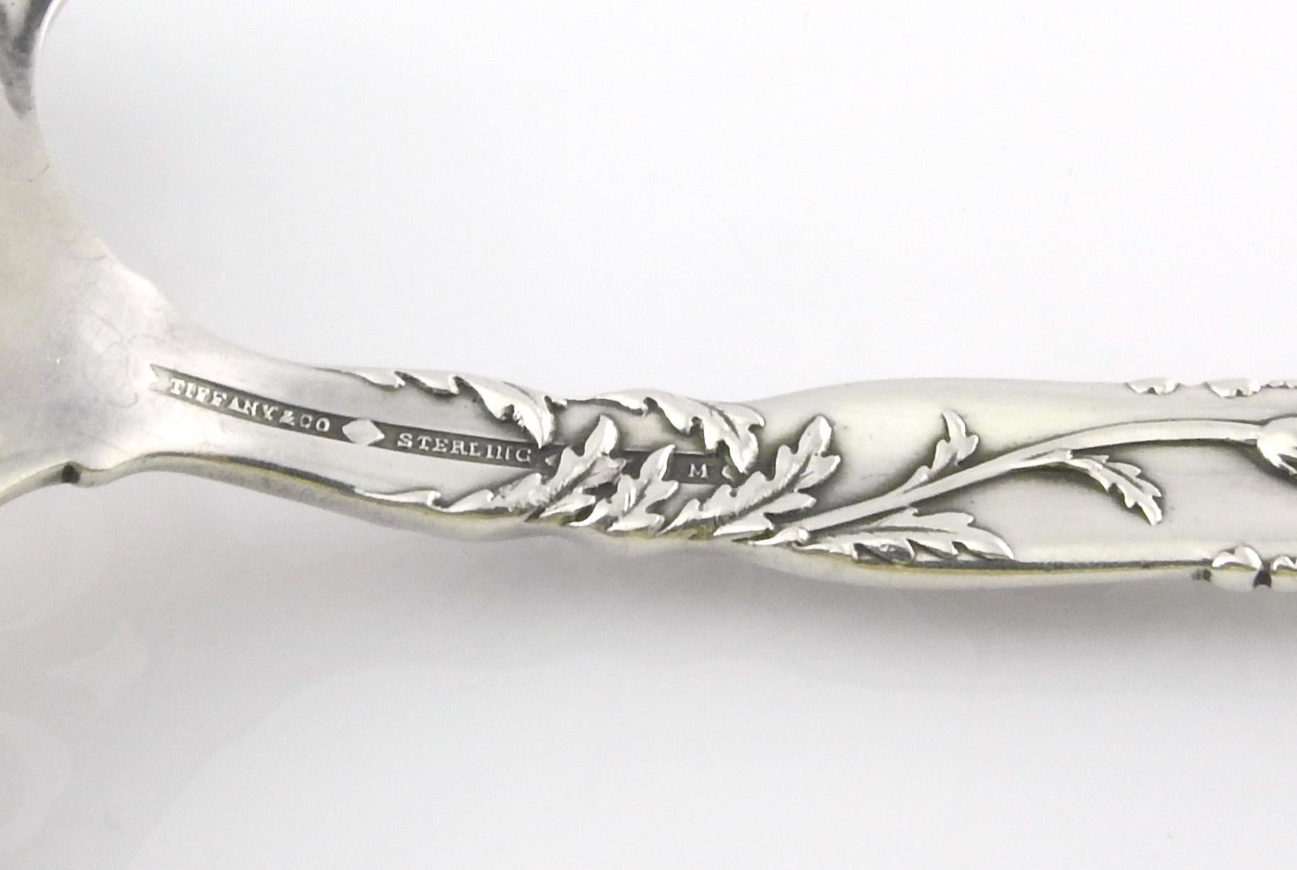 Tiffany & Co. Sterling Silver 1872 Vine Pattern Tomato Server with Daisies 1