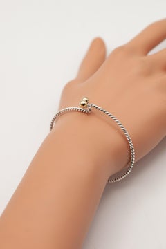 Tiffany & Co. Sterling Silver & 18K Gold Twist Bangle Bracelet