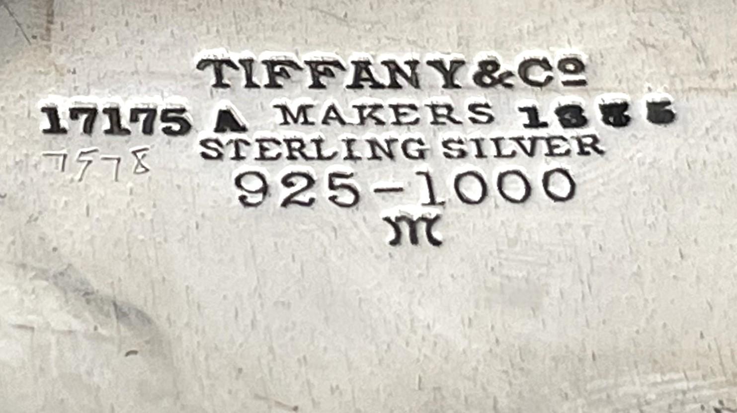 Tiffany & Co. Set da toilette in argento Sterling 1908 con specchio, portacipria e spazzola in vendita 7